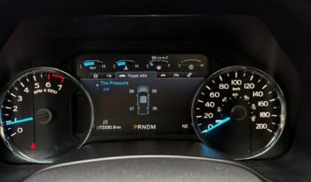 Ford Lobo Platinum 2020 lleno