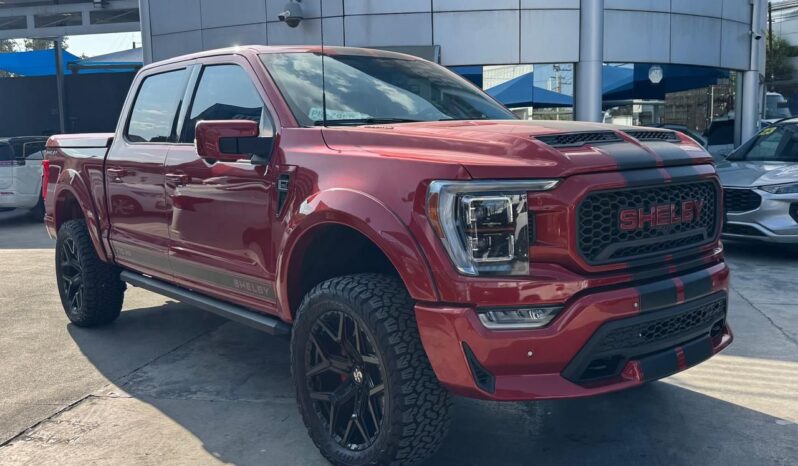 FORD F-150 SHELBY OFF ROAD 2023 lleno