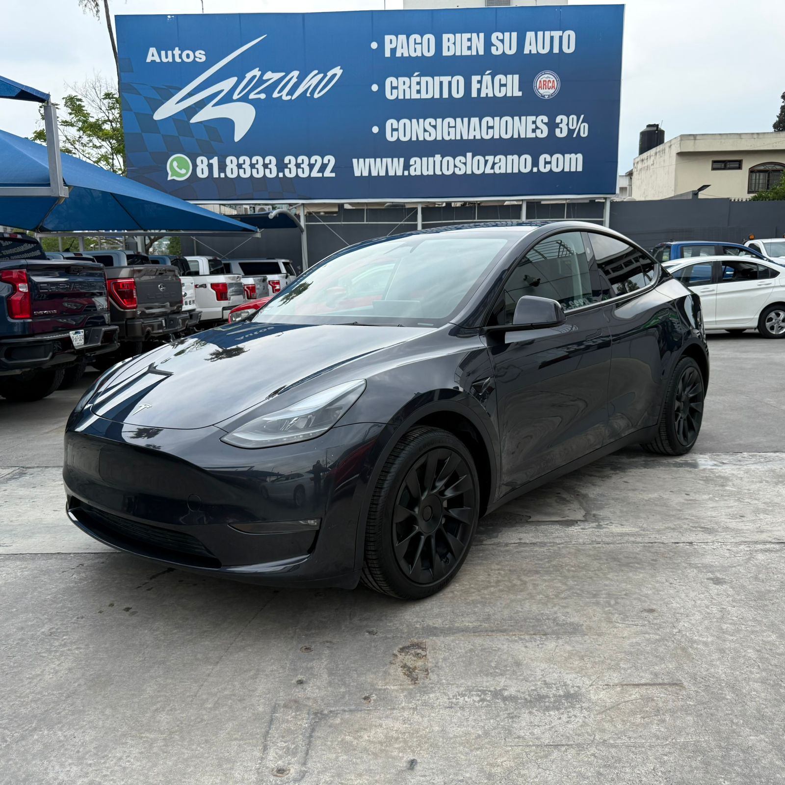TESLA MODEL Y DUAL MOTOR 2024