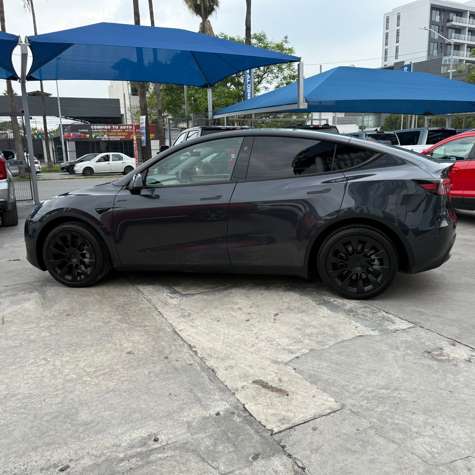 TESLA MODEL Y DUAL MOTOR 2024