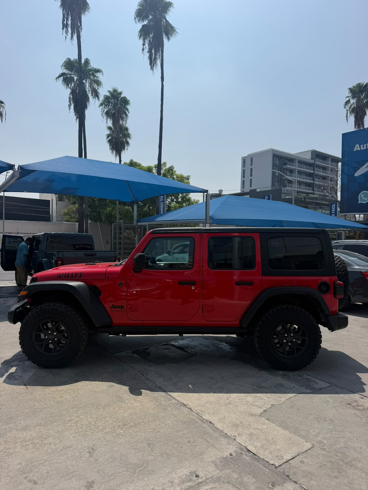 Jeep Wrangler Willys 2024
