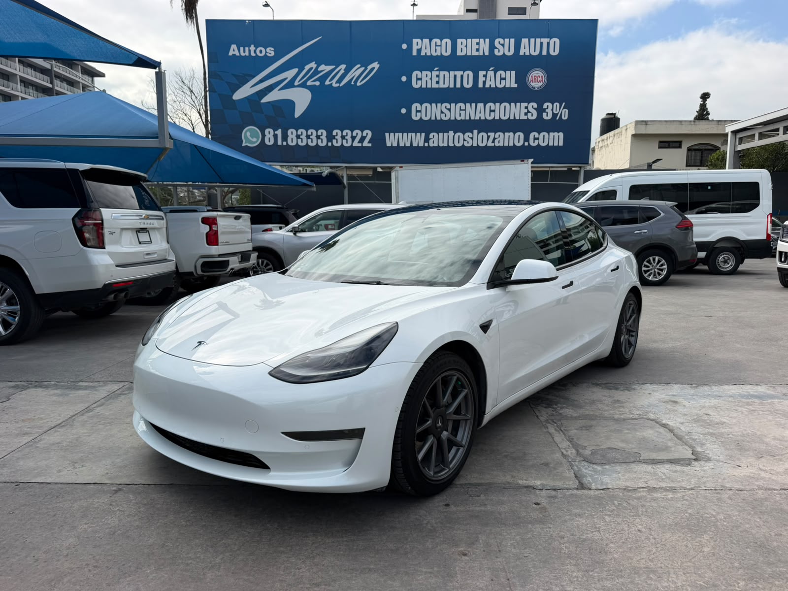 TESLA MODEL 3 STANDARD PLUS 2021