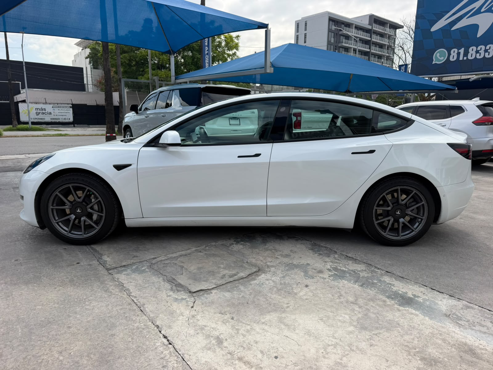 TESLA MODEL 3 STANDARD PLUS 2021